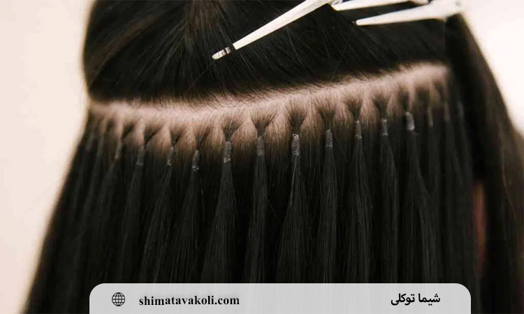 اکستنشن شاخه ای 1
