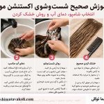 آموزش صحیح شست‌وشوی اکستنشن مو؛ انتخاب شامپو، دمای آب و روش خشک کردن